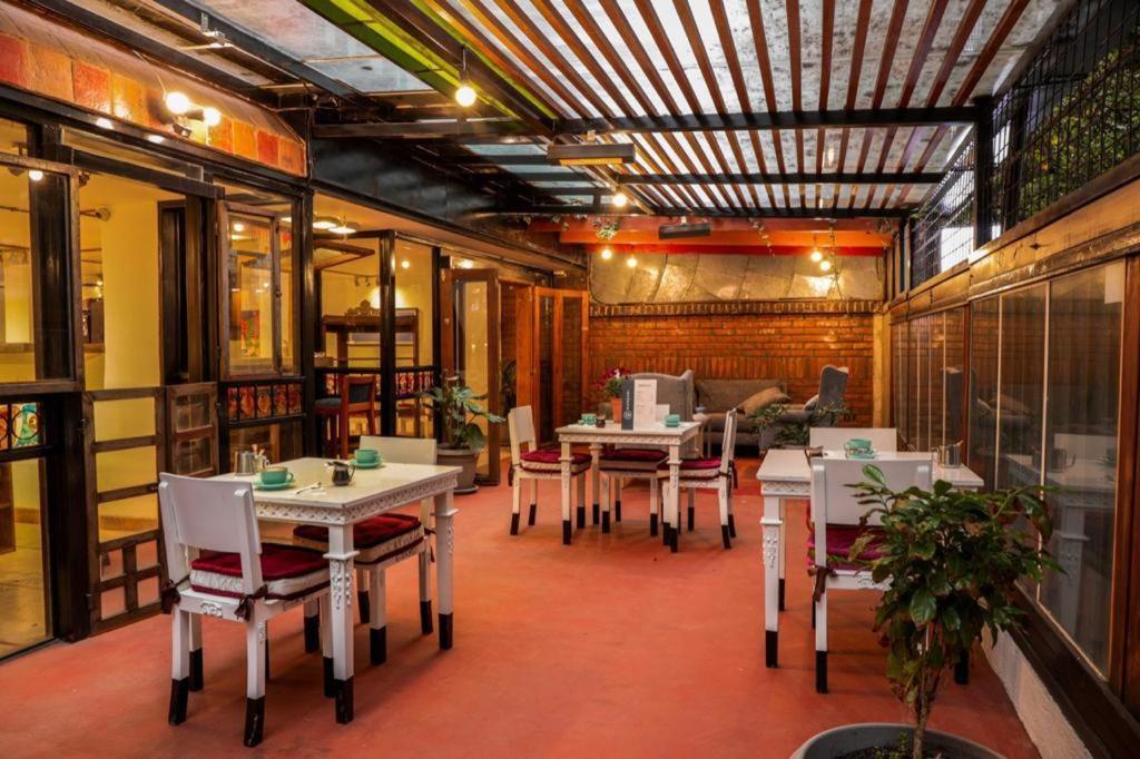 Dolce Lobo Boutique Stay Quito Exterior photo